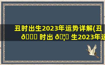 丑时出生2023年运势详解(丑 🐟 时出 🦉 生2023年运势详解大全)